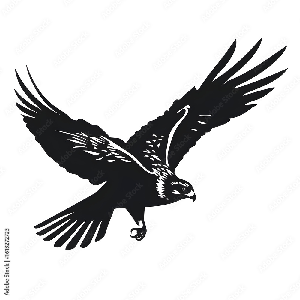 Fototapeta premium falcon silhouette