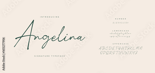 Elegant Script Font Alphabet Typography. Signature Font Calligraphy Logotype Script Brush Font Type Font lettering handwritten 

