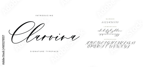 Clarvira handwrite signature font Calligraphy Logotype Script Brush Font Type Font lettering handwritten 