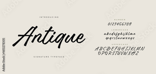 Hand drawn vector alphabet. Signature script font. Isolated letters written with marker, ink. Calligraphy, lettering. 
