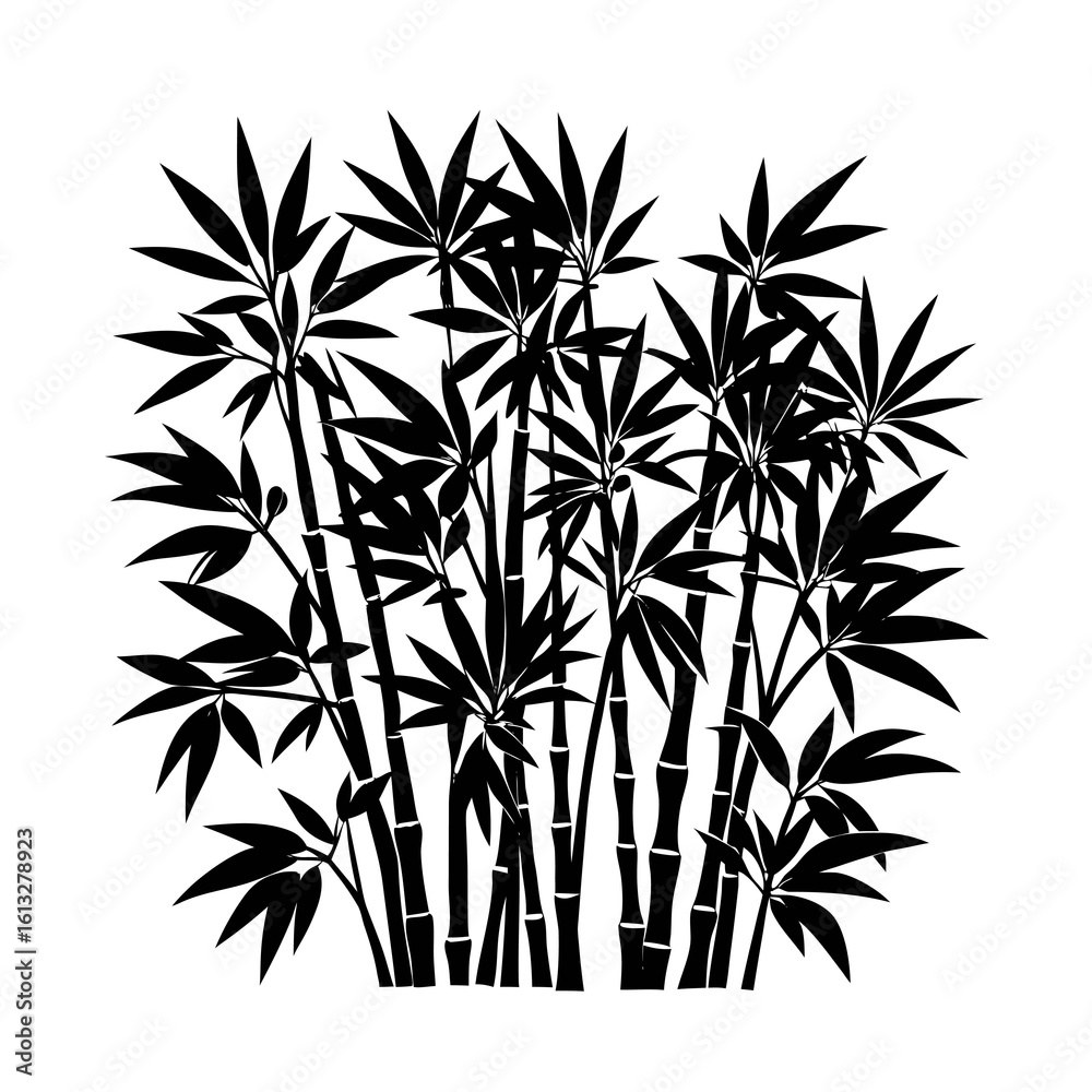 Obraz premium vector illustration of bamboo