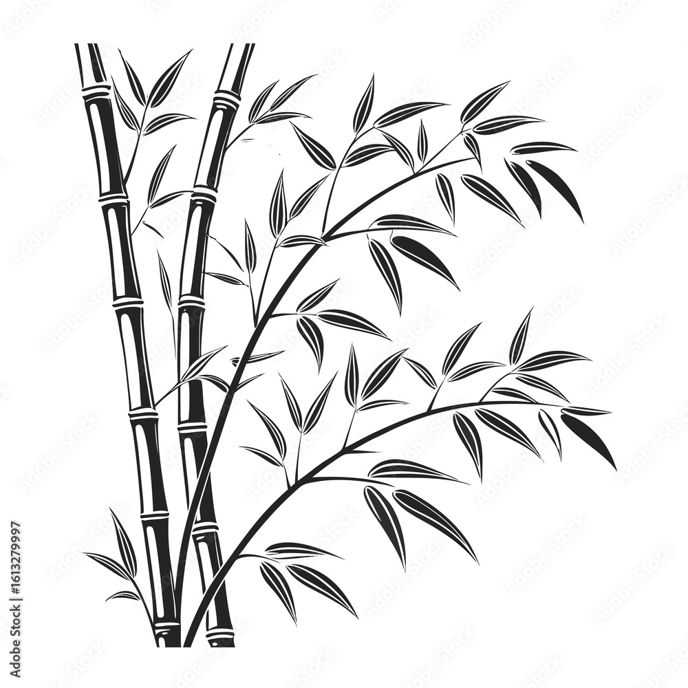 Obraz premium bamboo vector illustration