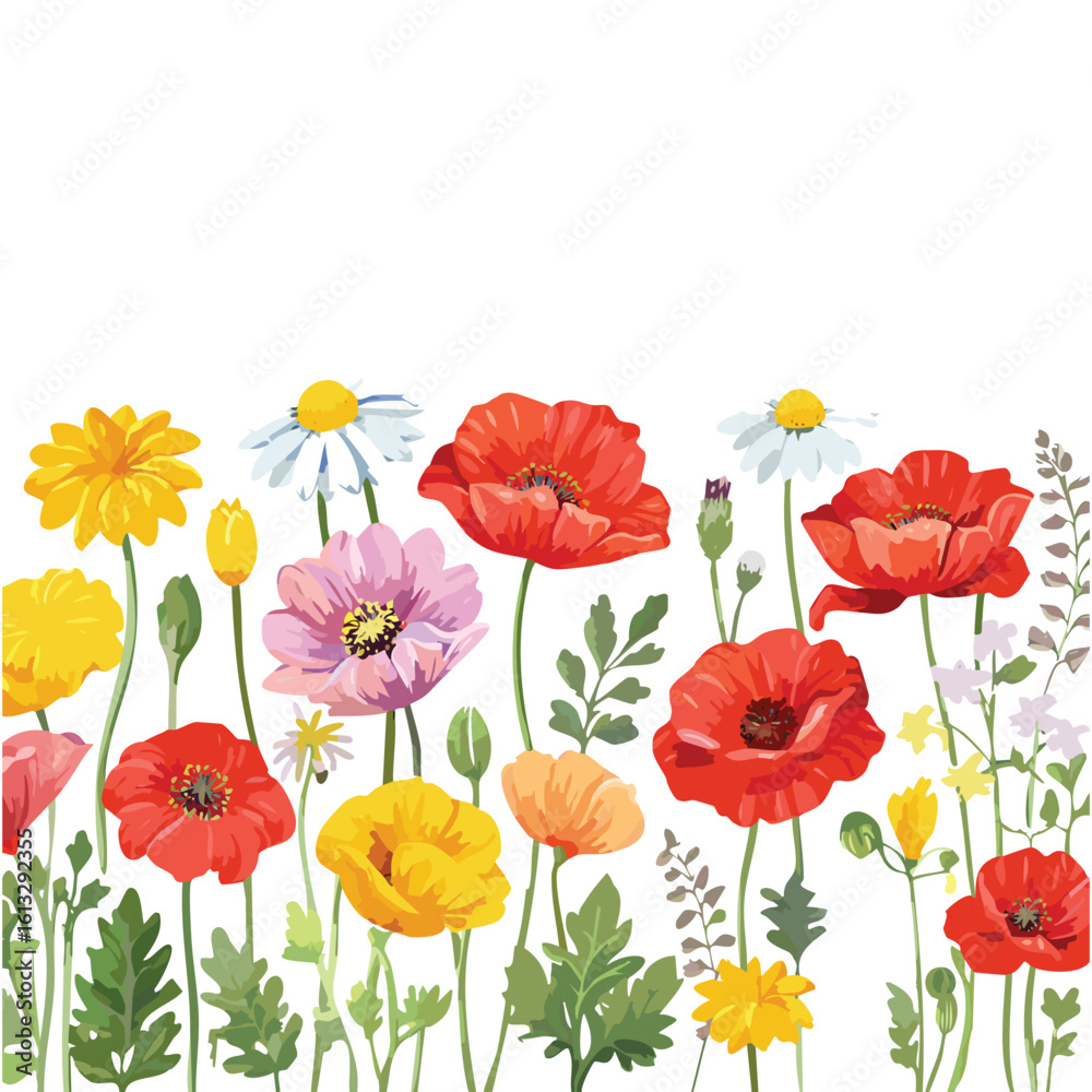 Fototapeta premium Hand drawn wildflowers and poppies. Decorative vector set