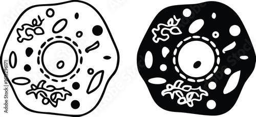 Cell Icons. Black and White Vector Illustration. Elementary Unit Of The Structure Of Living Organisms. Biology, Medicine. Concept Anatomy
