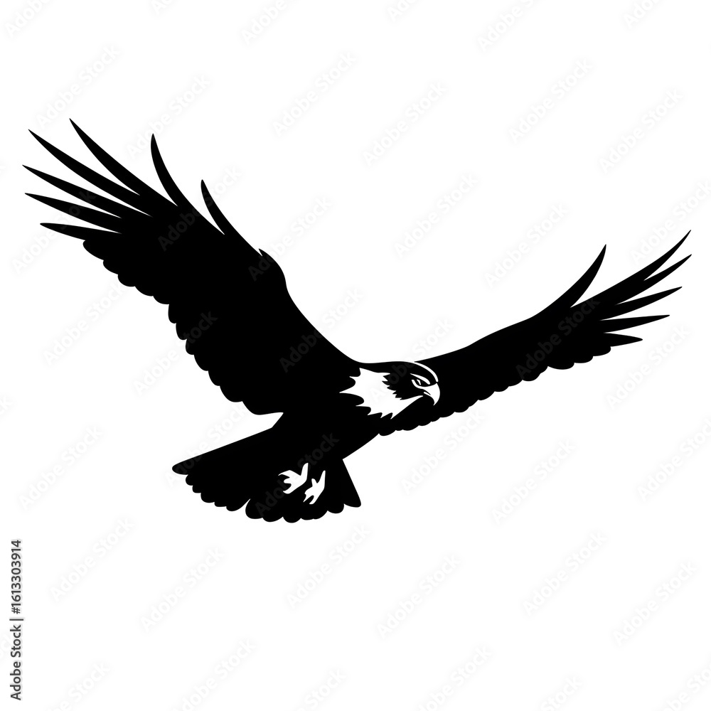 Obraz premium osprey silhouette