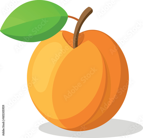 Vector art of a single, ripe apricot with a vibrant orange hue, complemented by a fresh green leaf