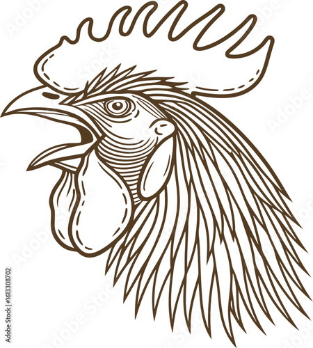 Rooster head illustration, detailed line art drawing crowing cockerel bird symbol, farm animal, vintage sketch