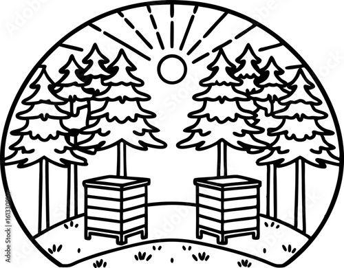 Beehives in forest clearing with sun nature conservation, sustainable beekeeping, woodland apiary, sunrise scenery