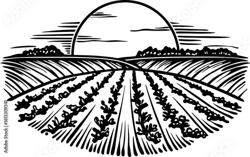Sunrise over cultivated farmland, plowed fields, and rural landscape agriculture, growth, natural food production concept