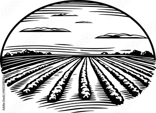 Expansive farmland landscape with neatly cultivated rows, rural agricultural field, countryside horizon illustration