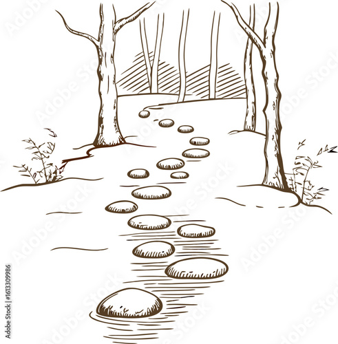 Stepping stones path winding through forest landscape tranquil woodland walk, bare trees, peaceful nature scene