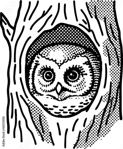Owl in tree hollow nocturnal forest bird peeking from tree trunk, wood habitat, detailed black ink drawing