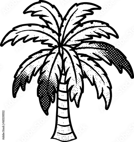 Tropical palm tree illustration monochrome hand drawn sketch of exotic plant with textured leaves and trunk