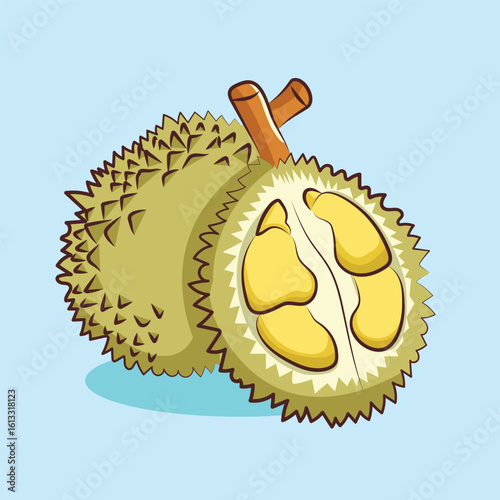 Ripe and split durian fruits vector cartoon design for elements clipart and sticker