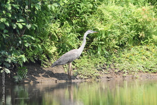 Wallpaper Mural Mansonville 26 Au 27 Juillet 2025  Torontodigital.ca