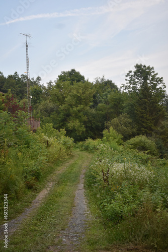 Wallpaper Mural Mansonville 26 Au 27 Juillet 2025  Torontodigital.ca