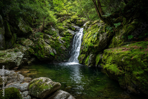 Small waterfall cascading into a natural pool surrounded by moss-covered rocks, shaded forest lighting