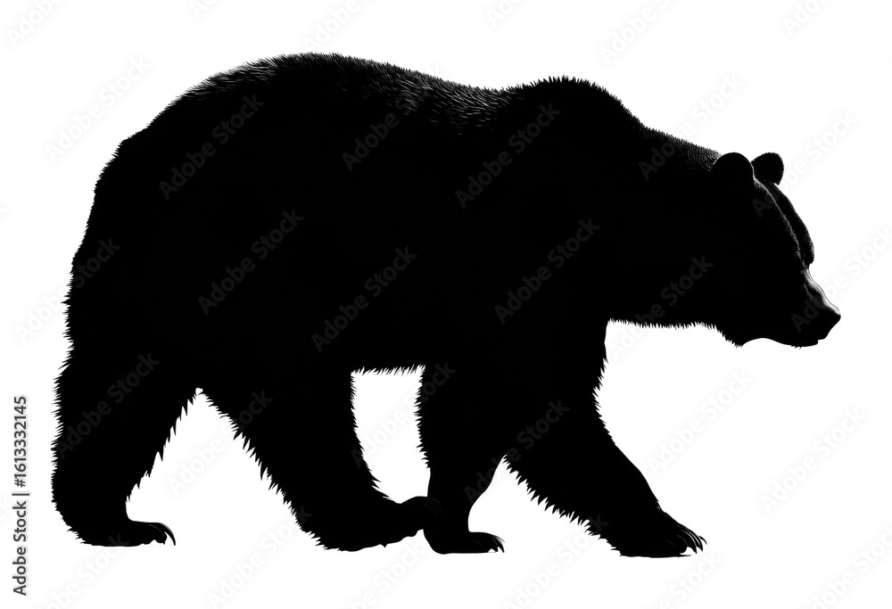 Fototapeta premium Bear walking silhouette in nature animal wilderness scene isolated on transparent background, png