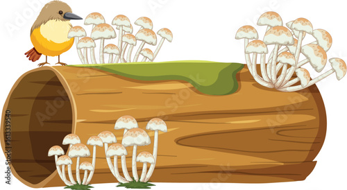 bird on cutting tree