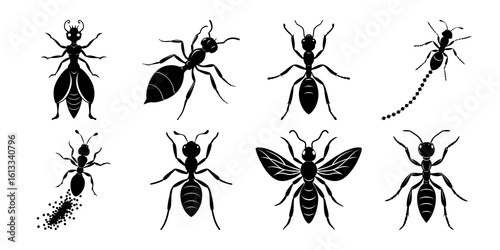 Black silhouette collection of plants  ant in vector design