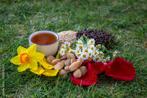 Assorted Natural Ingredients with Bright Flowers and Honey on Fresh Grass Outdoor