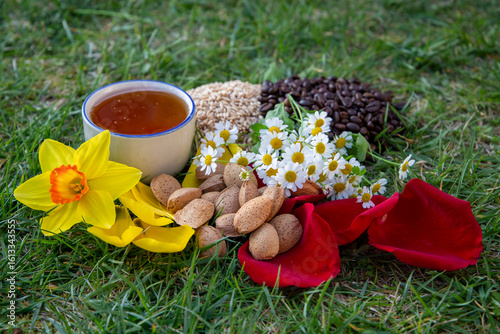 Selection of Natural Ingredients and Flowers Arranged Outdoors on Grass