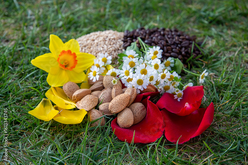 Arrangement of Natural Ingredients Including Flowers, Nuts, and Grains on Grass