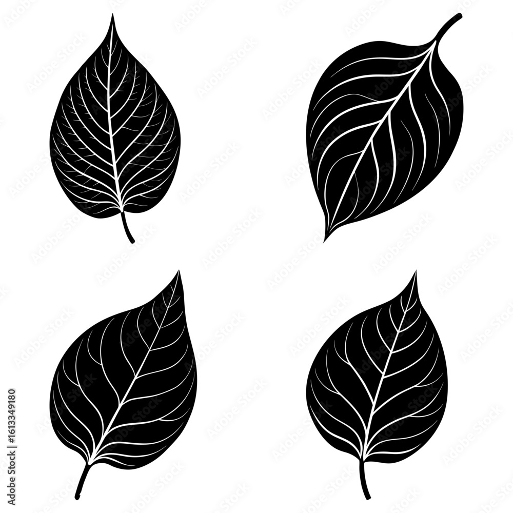 Fototapeta premium Four black leaves with detailed white veins arranged symmetrically on a white background design element