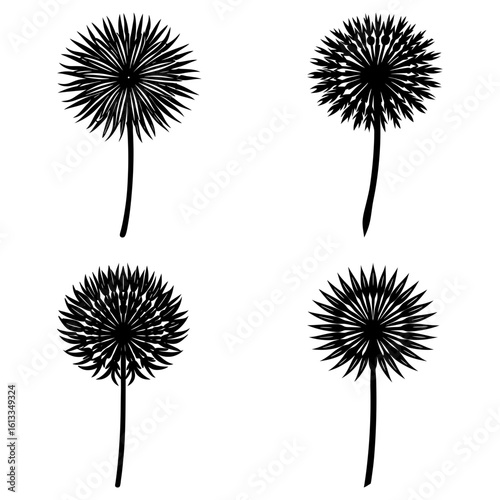 Four black and white dandelion seed heads with stems arranged in a square pattern on white background