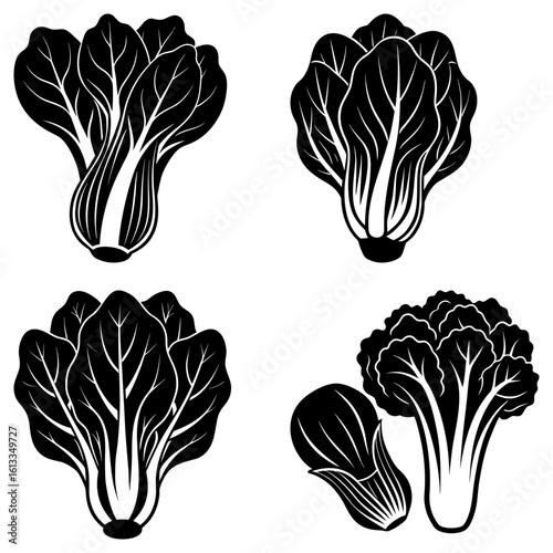 Four bok choy vegetables in black and white with detailed leaf and stem structures displayed nicely