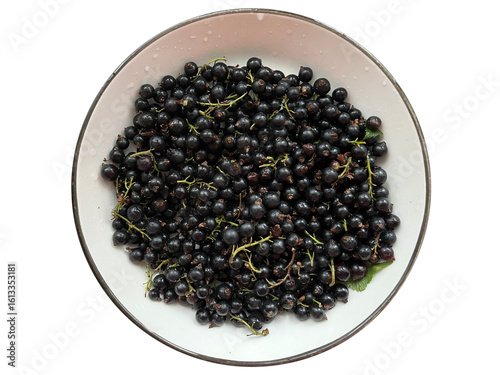 A plate with black currants. Isolated on a white background.
