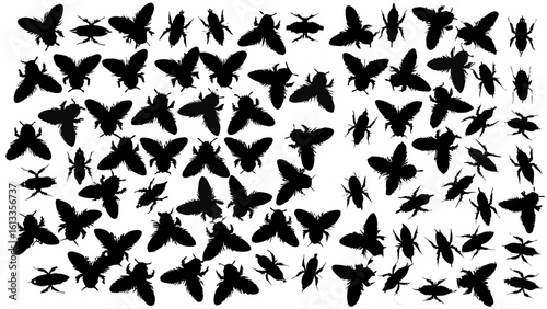 Silhouette illustration showcasing a multitude of various insect species scattered across a white background