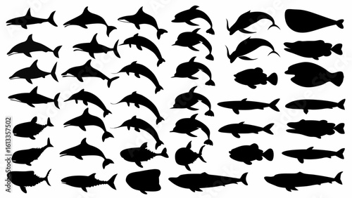 Silhouette collection of various fish and dolphin species swimming in different directions and orientations