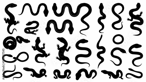Silhouette collection of various snakes and lizards in different poses isolated on white background