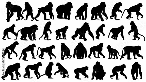 Silhouette collection showing various poses and postures of different monkey species and primate types