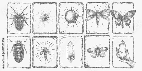 Series of insect drawings. Retro sketch with dotted halftone shading, soft photocopy paper texture and threshold edges.