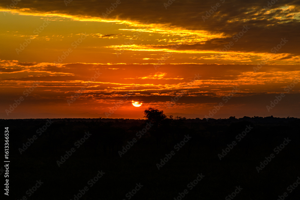Obraz premium Landscape at the Serengeti national park at sunset, Tanzania