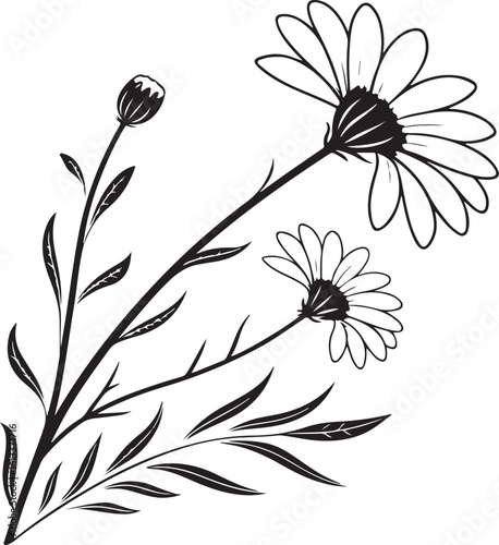 Coreopsis cheerful spring bloom vector silhouette of a flower isolated on transparent background