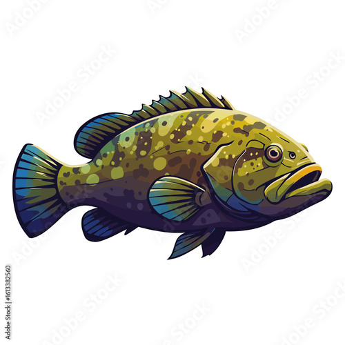 Illustration of a grouper fish with green and blue coloring, detailed fins, and a white background.
