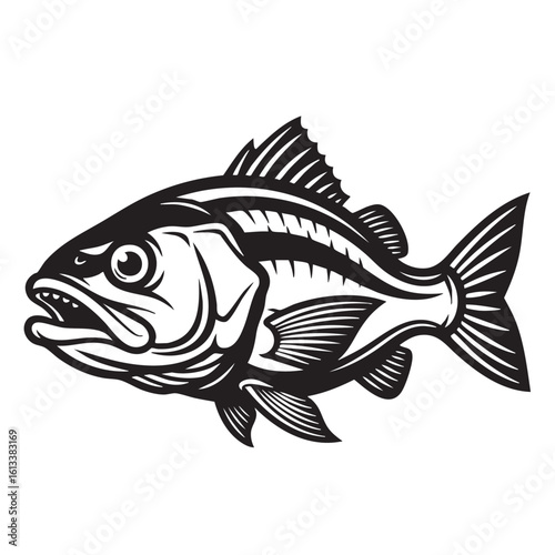 Black and white illustration of a fierce fish with sharp teeth and fins bass predator