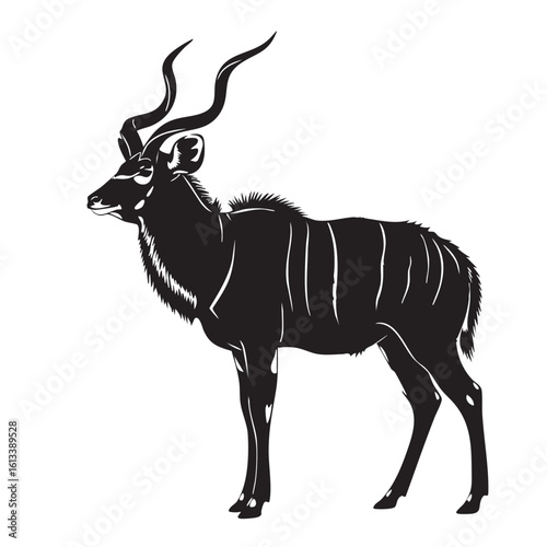 Black kudu antelope with spiraling horns and white stripes wildlife animal