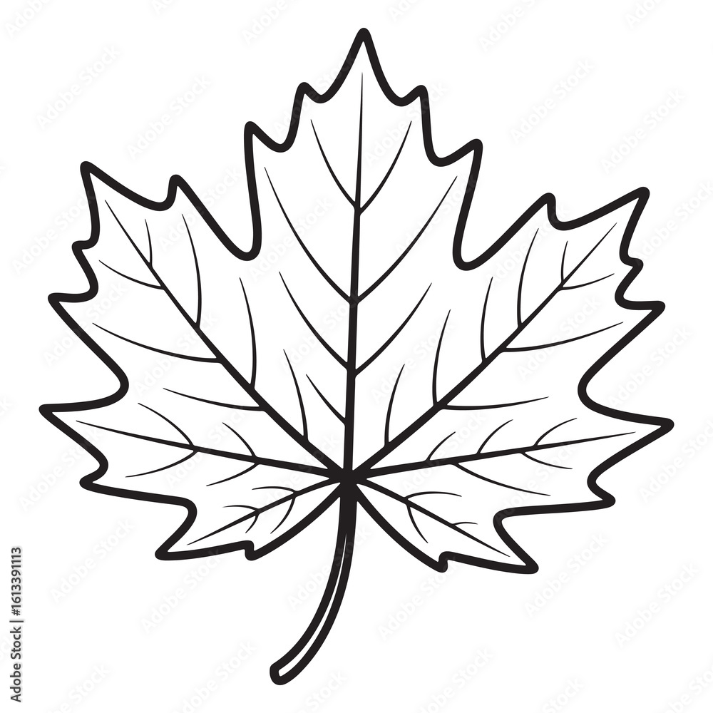 Fototapeta premium Maple Leaf Bold Outline Thanksgiving Line Art 