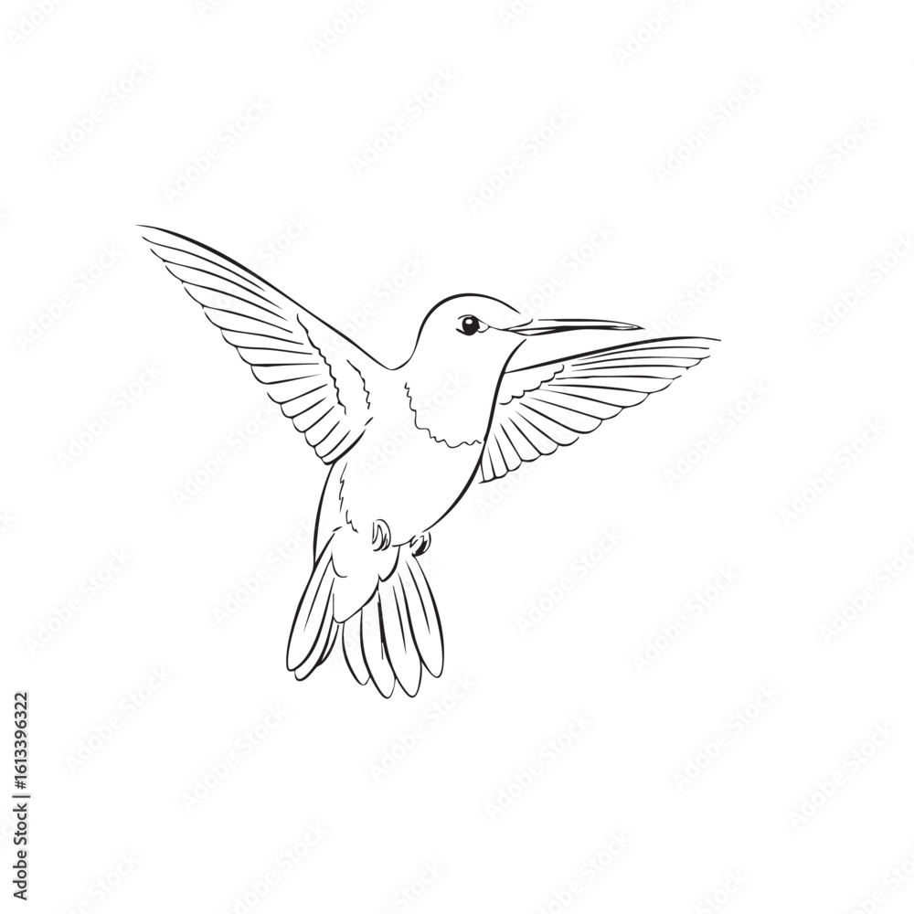 Obraz premium Delicate hummingbird in flight with outstretched wings and long beak flying