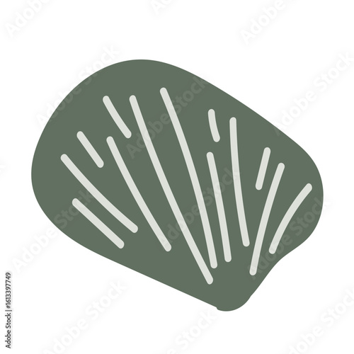 Vector drawing of a colorful seashell. Nautical element. Hand-drawn illustration.