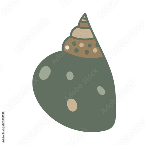 Vector drawing of a seashell. Nautical element. Hand-drawn illustration.