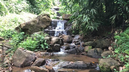 Mountain stream in the forest