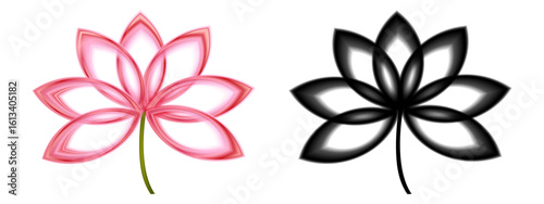 Color and black silhouettes of lotus flowers. Lotus plant. Lotus flower. Vector illustration.