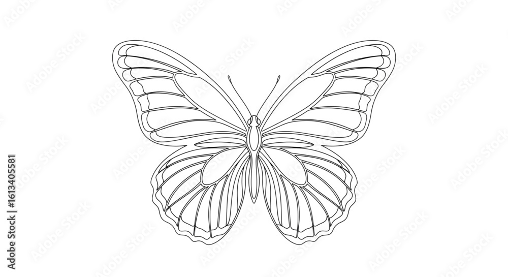 Fototapeta premium Intricate Butterfly Line Art – Minimalist Nature Vector with Symmetrical Wings on White Background