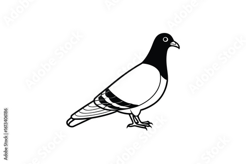 Simple Black and White Illustration of a Pigeon