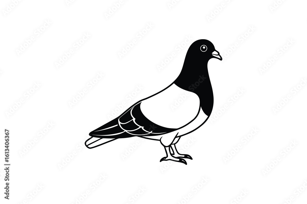 Obraz premium Simple Black and White Illustration of a Pigeon
